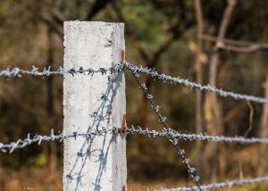 China Farm Protection 12.5 Gauge Double Twisted Galvanized Barbed Wire wholesale