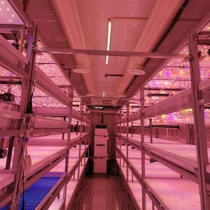China OEM 110V Solar Powered Hydroponic Grow Containers For Brassicas wholesale