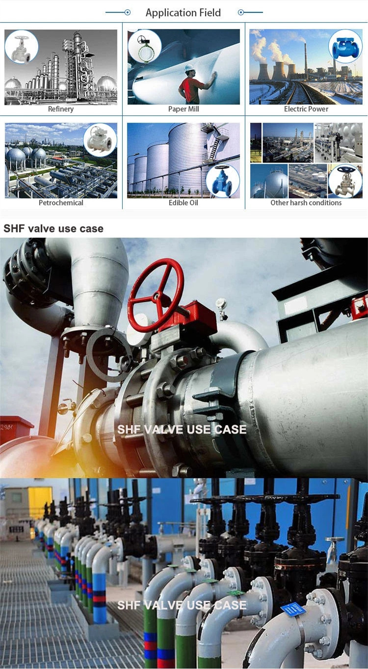 Customized Manual Drive Cast Iron Double Flange Butterfly Valve for Medium Temperature