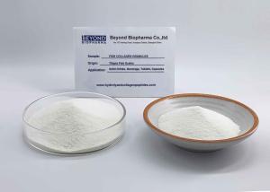 China Joint Health Fish Collagen Granule White To Office White Powder wholesale