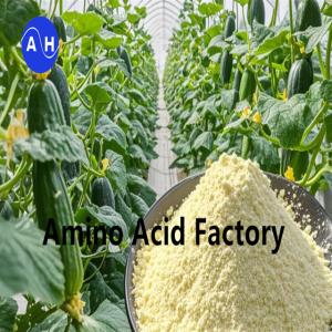 China REACH Registered Hydrolysed Soy Protein With Amino Acid 80% For Golf Courses wholesale