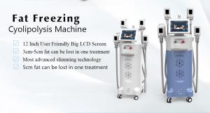 China Liposuction Cryotherapy Fat Burner Reduction Losing Weight Freeze Machine Weight Loss Cryo Cooling Therapy Criolipolisis wholesale