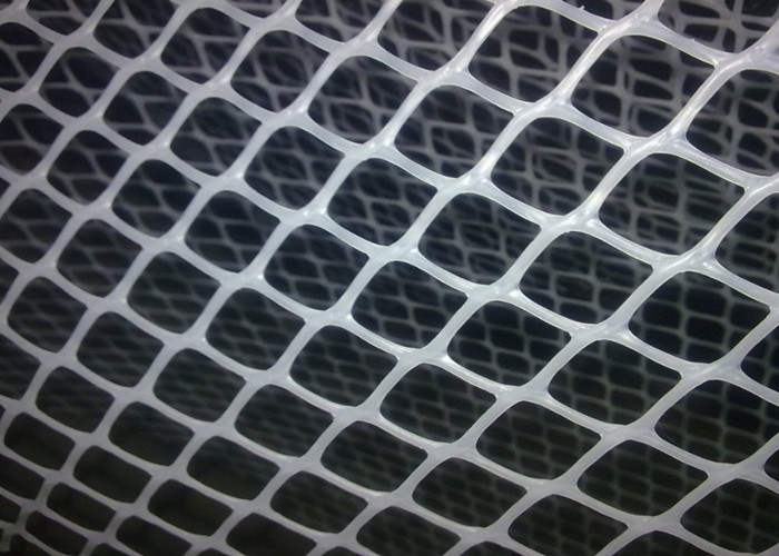 20mmx20mm Iso9001 Certificate Green Plastic Mesh 0.1cm Apeture