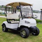 48V 150AH Lead Acid Battery Off-Road Tire Golf Cart With Smart Car Charger And