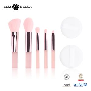 China 5pcs Cute Travel Makeup Brush Kits With Clear Printing PVC Packaging Box OEM wholesale