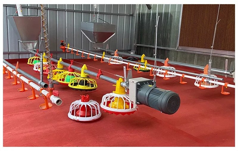 Chicken Drinking Automatic Pan Feeding System For Poultry Farming Equipment
