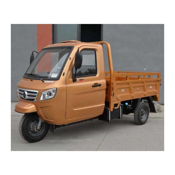 Adult Fully Enclosed Cabin Cargo 3 Wheel Motorcycle Tricycle with 1000W Power