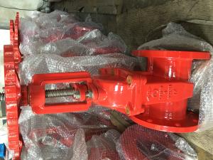 China ANSI resilient gate valve RS flanged ends wholesale