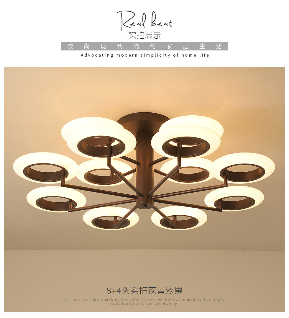 The 2018 new fashion iron + aluminum alloy plus acrylic interior lights 30W / 50W / 120W