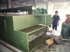 China DWT Series Drier for Vegetable Dehydration wholesale