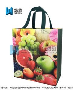 China Fruit printing Promotional Ultrasonic Non woven Supermarket Shopping Bags wholesale