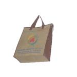 Non woven cooler bag/non woven bag
