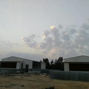 China Pre Engineered Livestock Farm House Chicken Steel Structure Warehouse wholesale