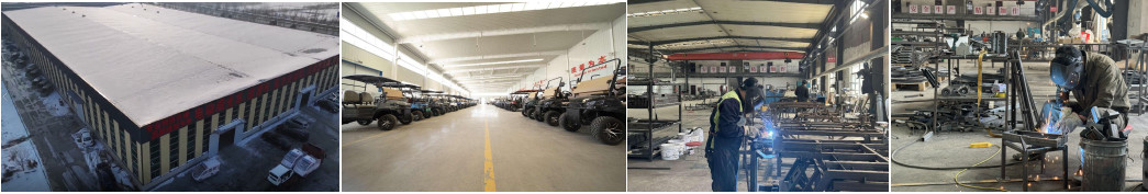 PP Hard Plastic Electric Golf Cart With Independent Suspension 40km/H Max Speed