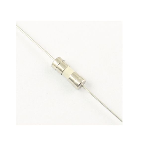 Quick Response Axial Leaded Non-Resettable One Time Ceramic Tube Fuse 2.5A 250VAC With 3.6x10mm Fast Blow Single Cap