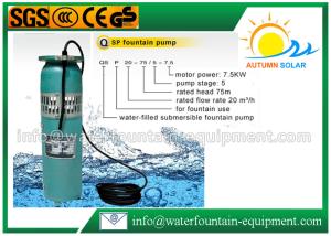 China Durable Garden Water Fountain Pumps , Simple Cast Iron Submersible Fountain Pump wholesale