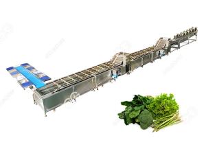 China CE Certified Stainless Steel Commercial Vegetable Washer Washing Line Vegetable Processing Plant wholesale