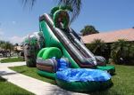 Inflatable Double Water Slide Adults Commercial Backyard Inflatable Water Slide