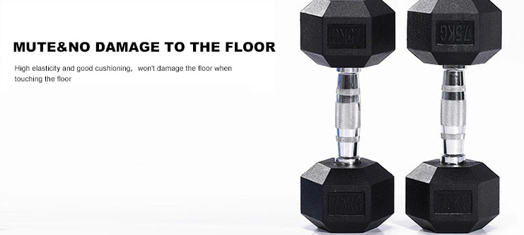 Cast Iron Hex Dumbbells Adjustable Home Gym Fitness Equipment Steel Free Weights