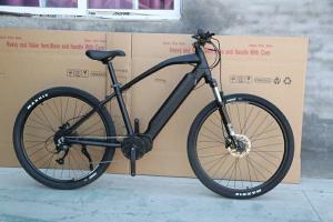 China 250w Mid Drive Mountain Electric Bikes Mens Mtb Ebike 29&quot; 36v 14Ah wholesale