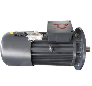 China Elevator IP55 Aluminum 13kW 4 Pole Hoist Braking Motor wholesale