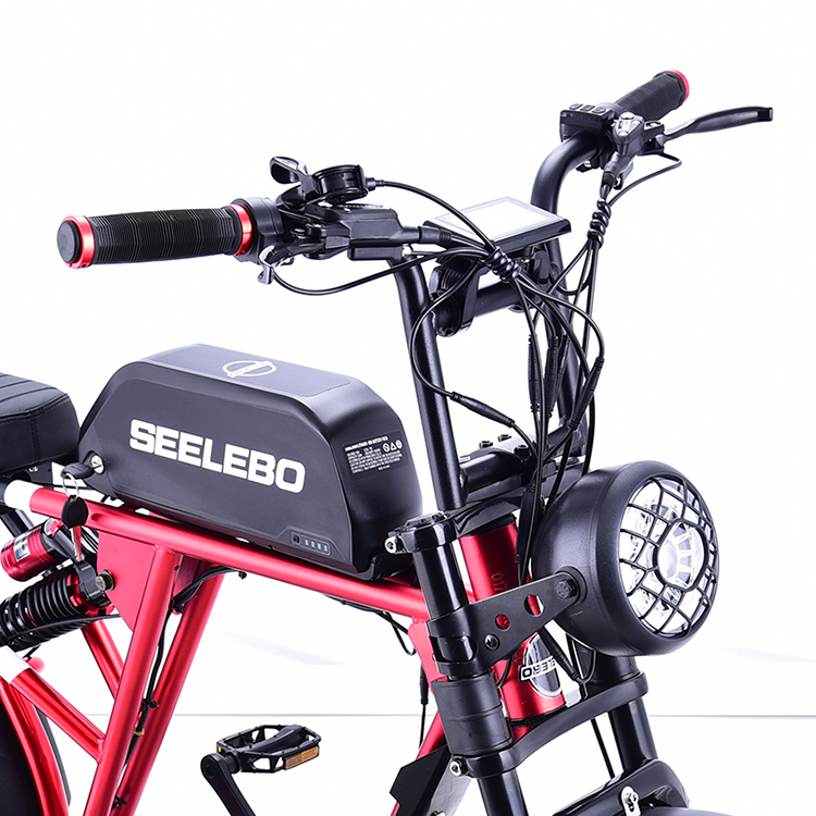 Electric Bicycle GOMID 750W 48V 20 Inch E Bike Mountain Fat Tire Ebike With High Power Motor