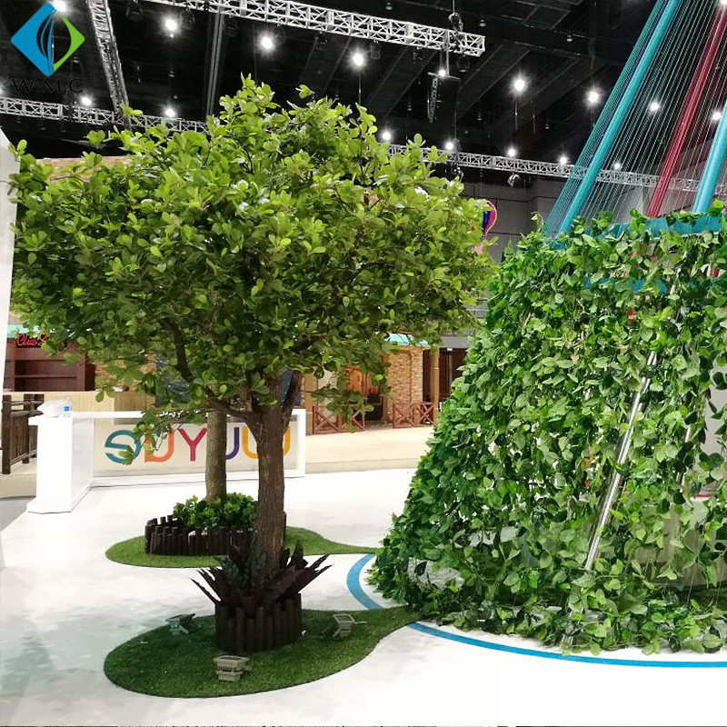 ficus lyrata.jpg