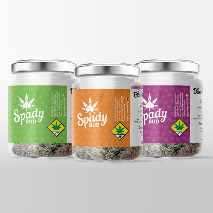 Waterproof Self Adhesive 6x12cm Medicine Bottle Label Matte Lamination