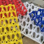 Agriculture 30 Count Plastic Egg Containers Egg Storage