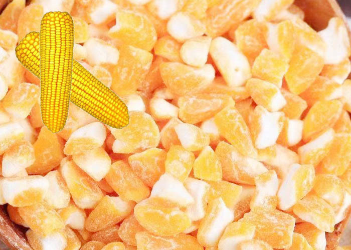 Premium Corn Major Agricultural Products , Agricultural Food Products Dried Style