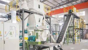 China Rice Husk EFB Wood Log Pellet Making Equipment Production Line wholesale