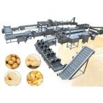 Semi Conductor Frozen Potato Production Line Automatic for Food Industry