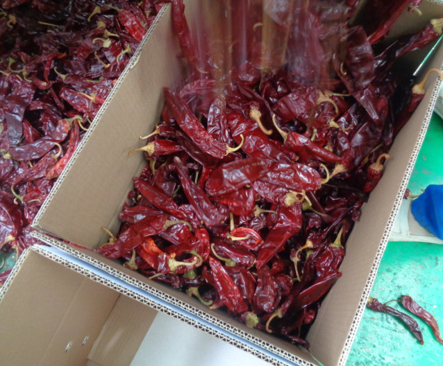 HACCP Dried Paprika Peppers 16% Moisture Sweet Dehydrating Chillies