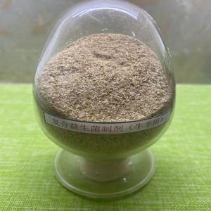 China Guanidine Acetic Acid Bacteria Probiotics Powder Blend Effective Live Bacteria 2 Billion Ruminant Fatten Feed wholesale