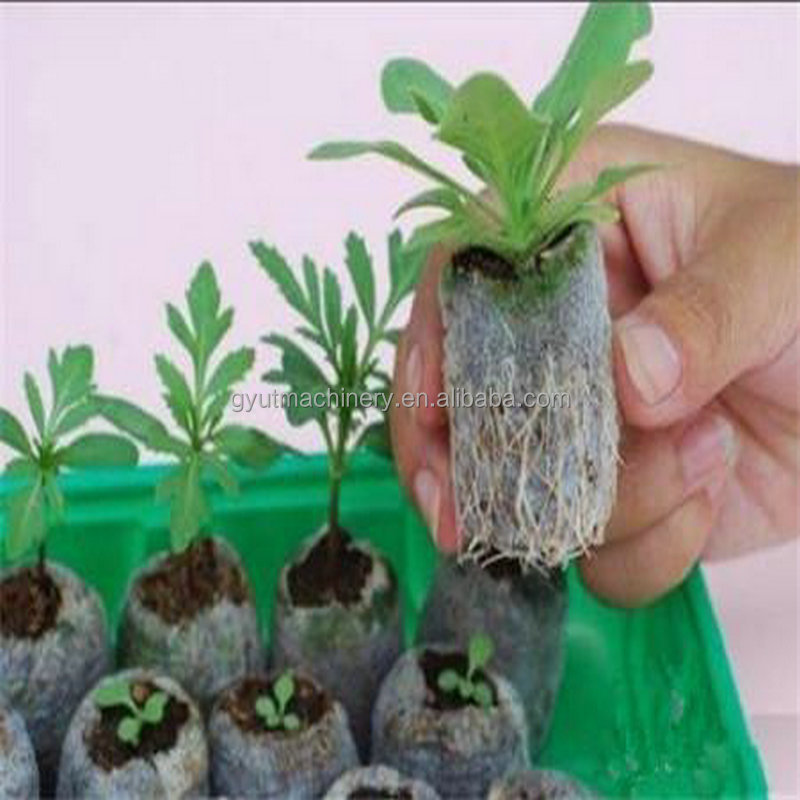 2024 Microgreens Seeder and Top Coater for Cabbage Onion Garden Seed Seeding Machine