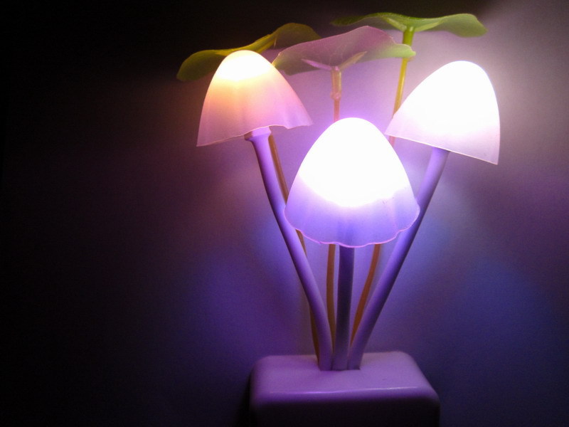 Colorful LED Night Light/ kids led night lamp/ night lighting wholesale