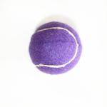 2.5'' dog chewing tennis ball with squeaker inside