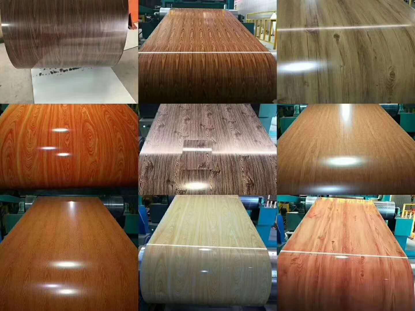 Gi PPGI Prepainted Color Coated Steel Coil Galvanized Slightly Oiled