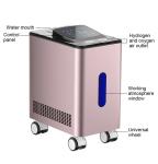 Enhance Metabolism Hydrogen Inhalation Therapy Machine Movable WEIZI