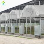 Commercial Poly Tunnel Plastic PE Film UV Resistant Greenhouse For Tropical