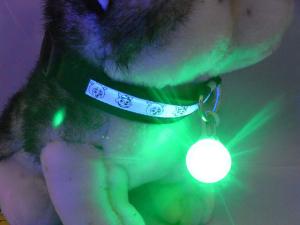 China Pet Dog LED glowing pendant necklace Safety puppy Cat Night Light Flashing Collar Glowing in Dark wholesale