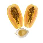 Crop Stress Resistance Biostimulants Chitosan Oligosaccharide For Plants