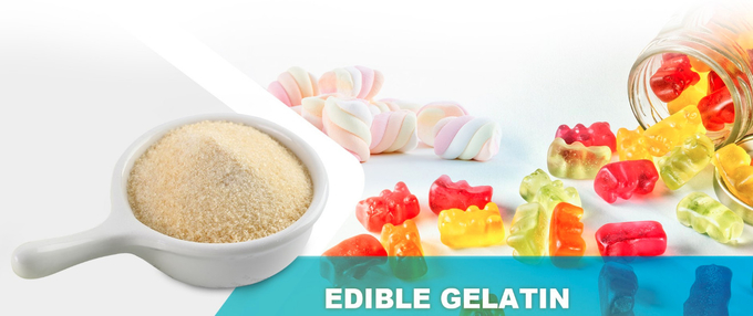 Gummies Halal Beef Gelatine 180-260 Bloom Beef Gelatine Halal