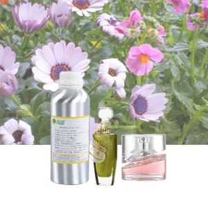 China Pure Perfume Fragrance Oil And Concentrated Perfume Fragrance wholesale