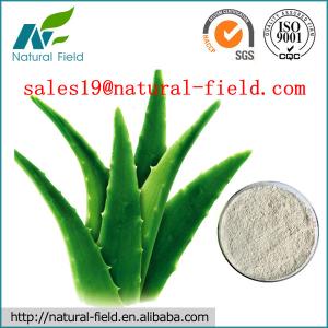 China Aloin powder 20% 40% 90% 98% wholesale