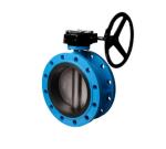 4 Inch Integral gluing Double Flange CF8M Flange Butterfly Valve