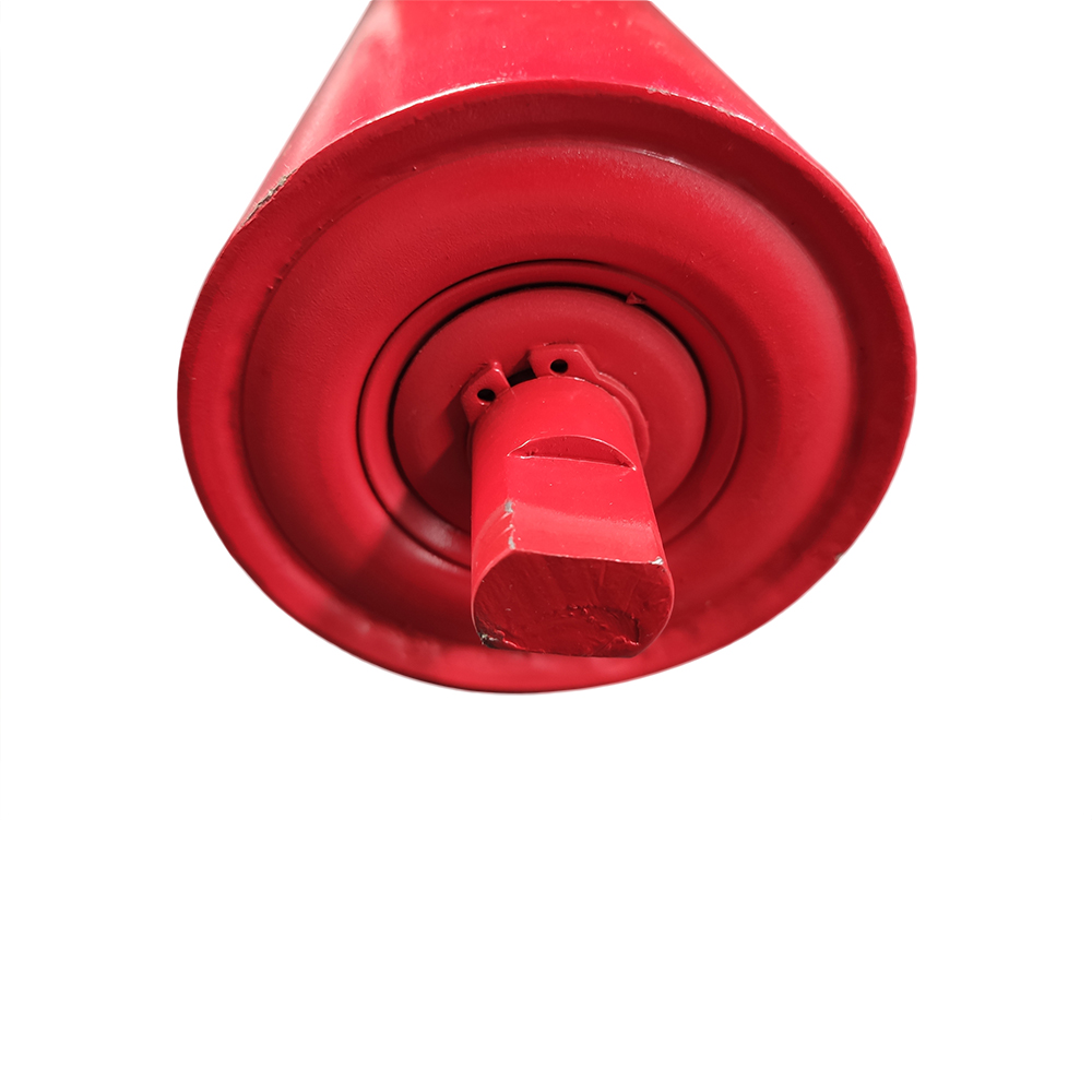 204205305306308000 Bearing Model Standard Conveyor Roller Ends for Material Handling Equipment Parts