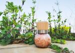 Seasoning Grinder Salt Pepper Mill Transparent Glass Bottle Ceramic Core For