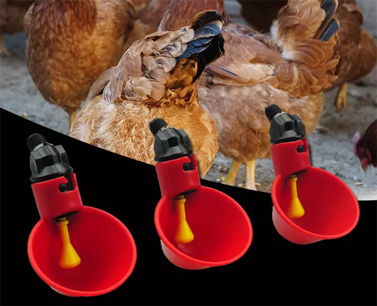 Nipple Chicken Bird Cup Drinkers Poultry House Accessories