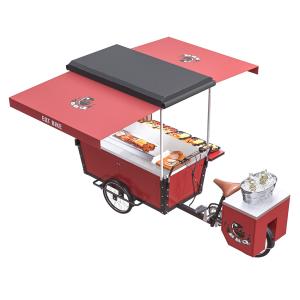 China Self Priming Outdoor 350W Drum Brake BBQ Food Bike wholesale